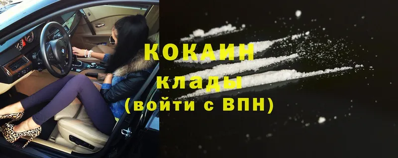 Cocaine Fish Scale  продажа наркотиков  Оханск 